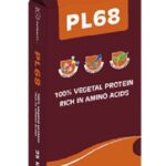 pl-68.jpeg