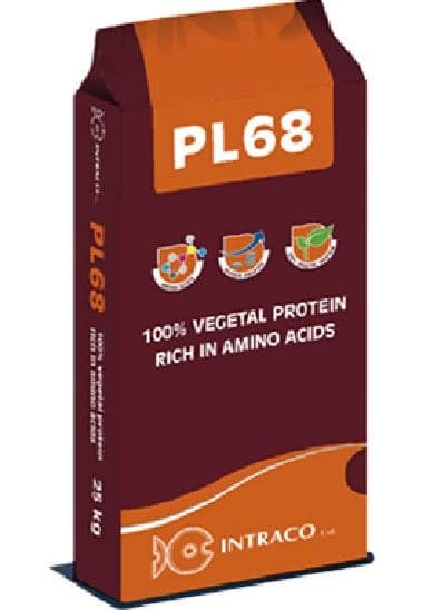 pl-68.jpeg