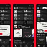 spotify-wrapped-2025-9.jpeg