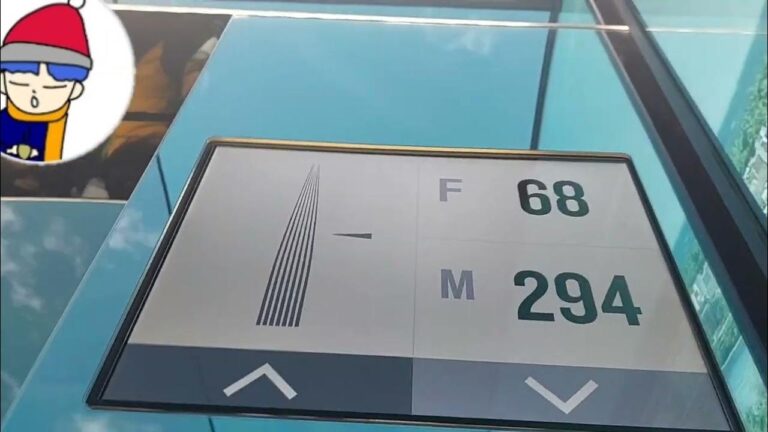 453.jpeg