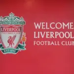 43.webp