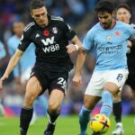 man-city-vs-fulham-294.jpeg