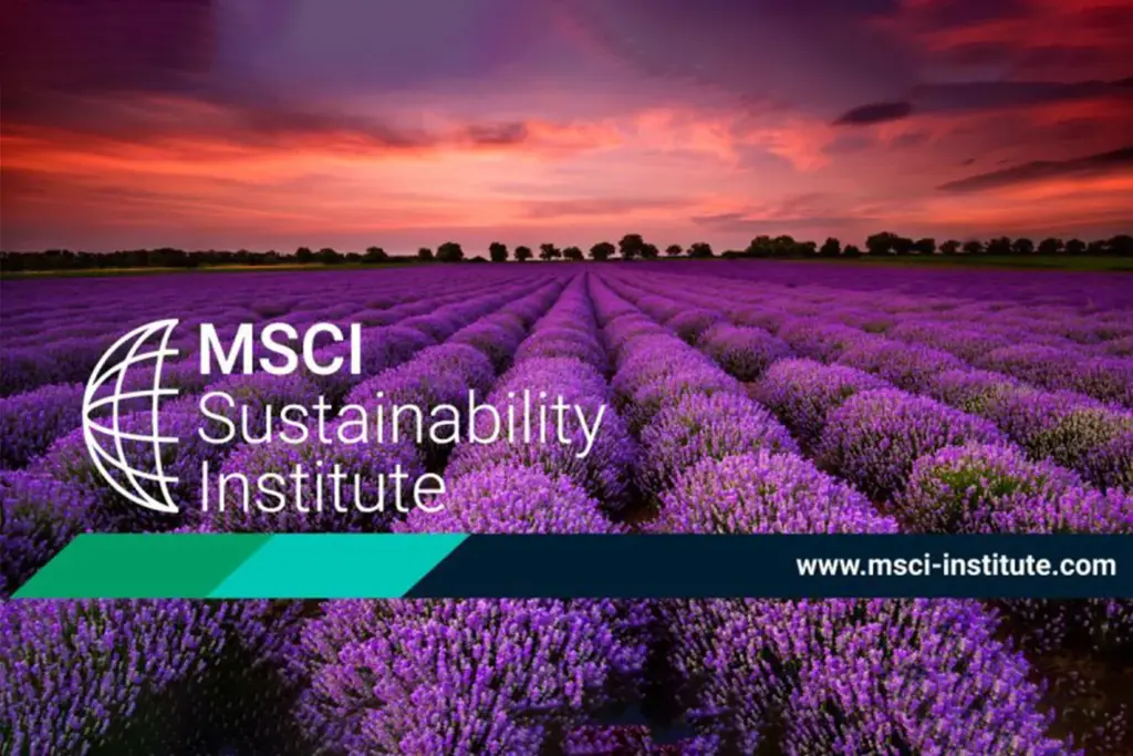 msci-62.webp