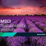 msci-62.webp