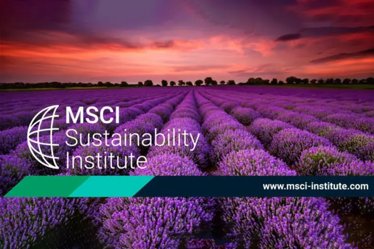 msci-62.webp