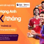 ngo-i-h-ng-anh-81.jpeg