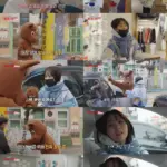 박보영 — KR news