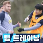 브라이턴 대 노팅엄 포레스트 — KR news