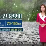 부산 날씨 — KR news