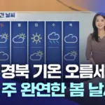 대구날씨 — KR news