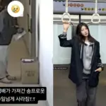 어디가 — KR news