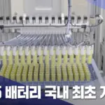 금양 — KR news