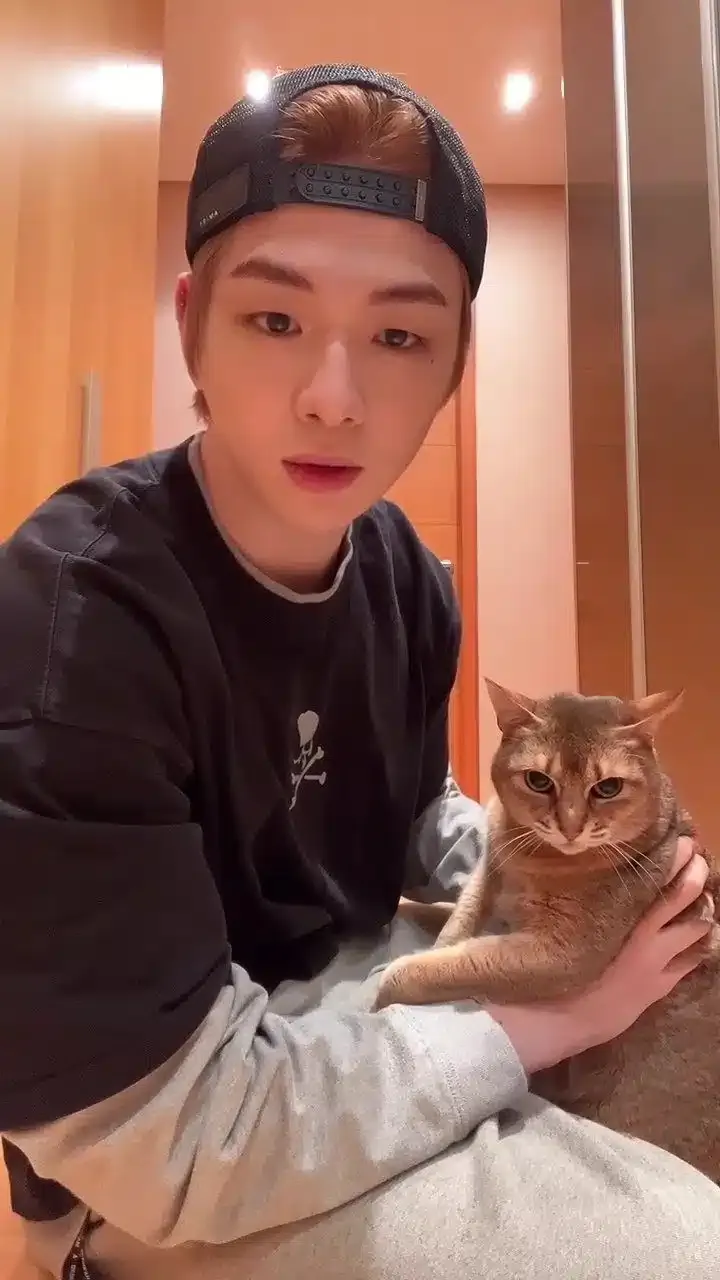 고양이 — KR news