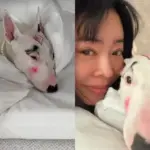 이혜영 — KR news