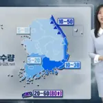 내일 날씨 — KR news