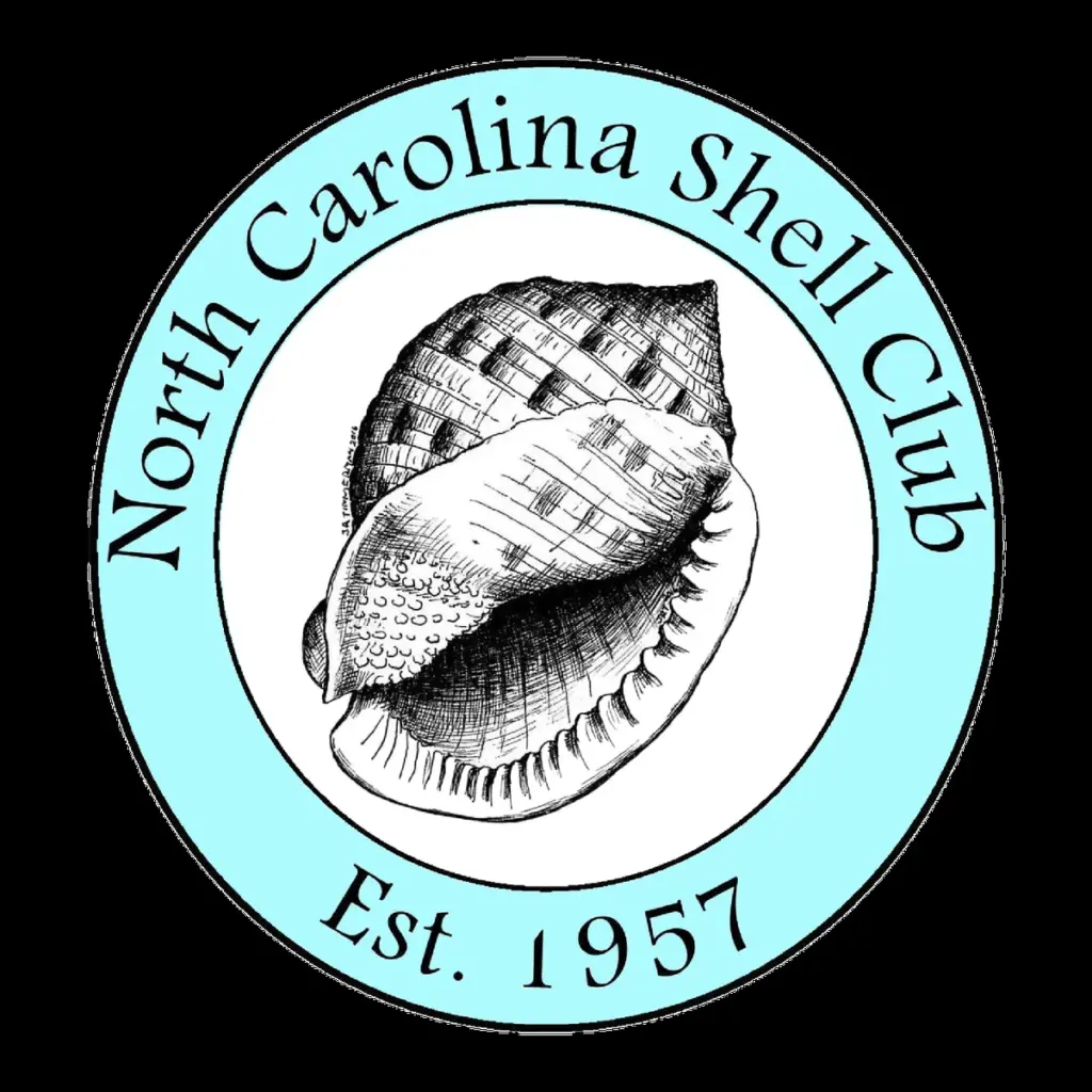 nc — KR news