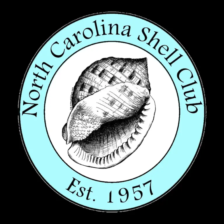 nc — KR news