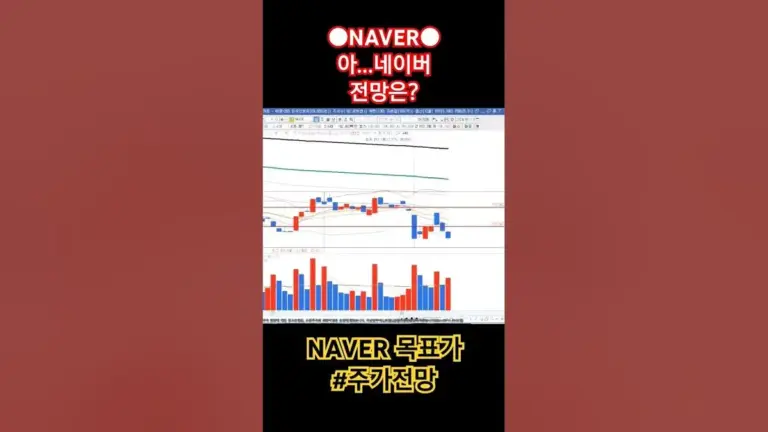 네이버 주가 — KR news