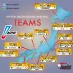 npb — KR news