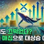 리플 — KR news
