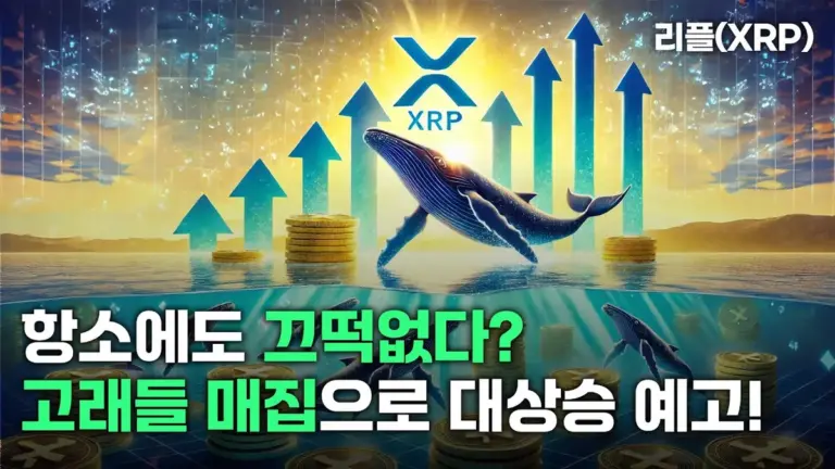리플 — KR news
