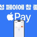 삼성페이 — KR news