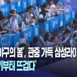 삼성라이온즈 — KR news