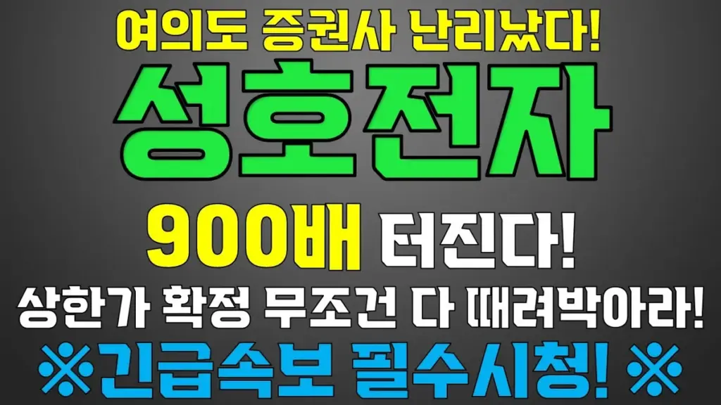 성호전자 — KR news