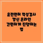 운전면허 적성검사 — KR news