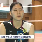 배구 — KR news