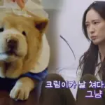 뷰티인더비스트 — KR news
