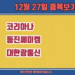 대한광통신 — KR news