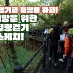 걷기 — KR news