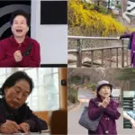 전원주 — KR news