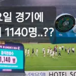 성남 대 안산 그리너스 — KR news