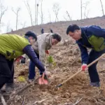 식목일 — KR news