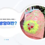 유방암 — KR news