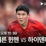 바이에른 대 하이덴하임 — KR news