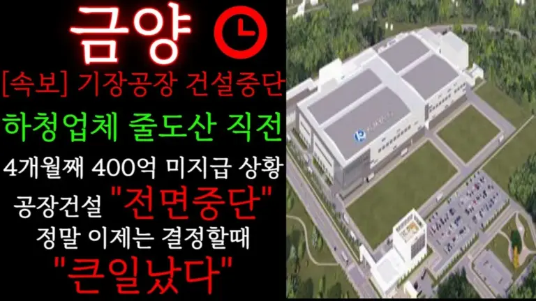 금양 — KR news