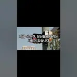 결혼정보회사 — KR news