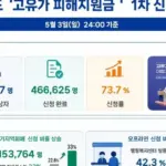 경기지역화폐 — KR news