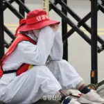 해고 — KR news