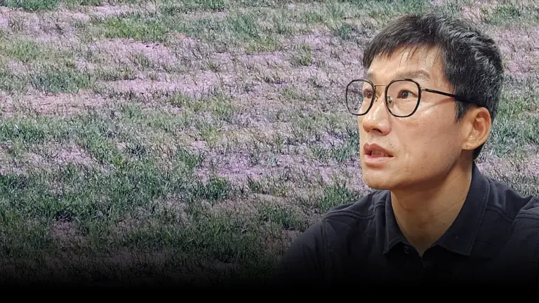 이정효 — KR news
