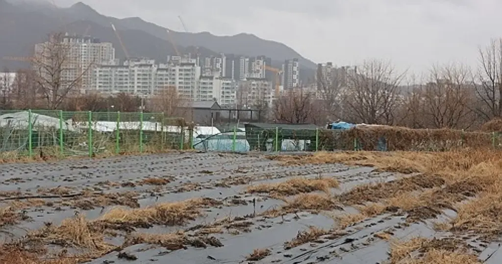 농지 — KR news