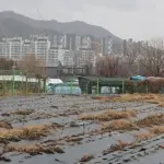 농지 — KR news