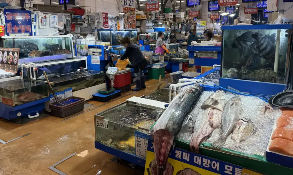 노량진 수산시장 — KR news