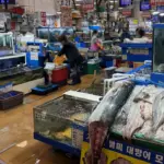 노량진 수산시장 — KR news